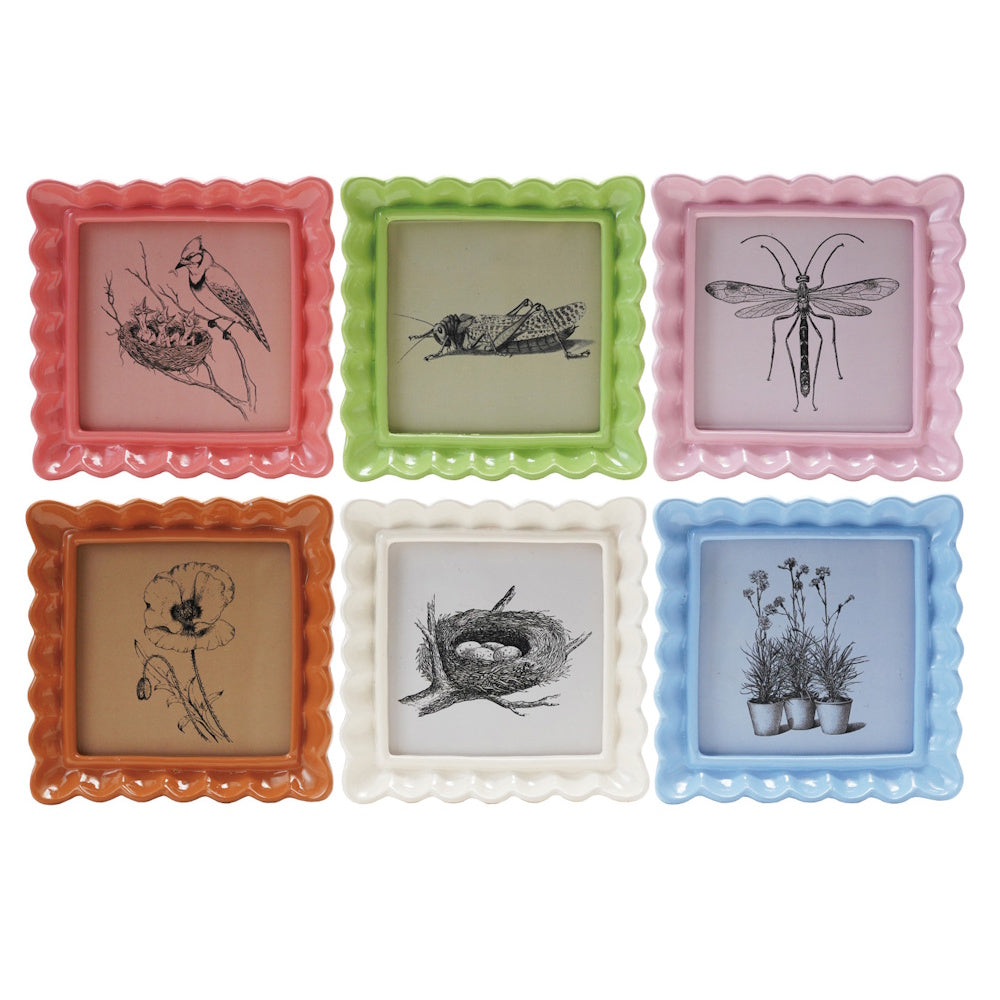 Six colorful square photo frames with scalloped edges, each holding a different nature sketch.