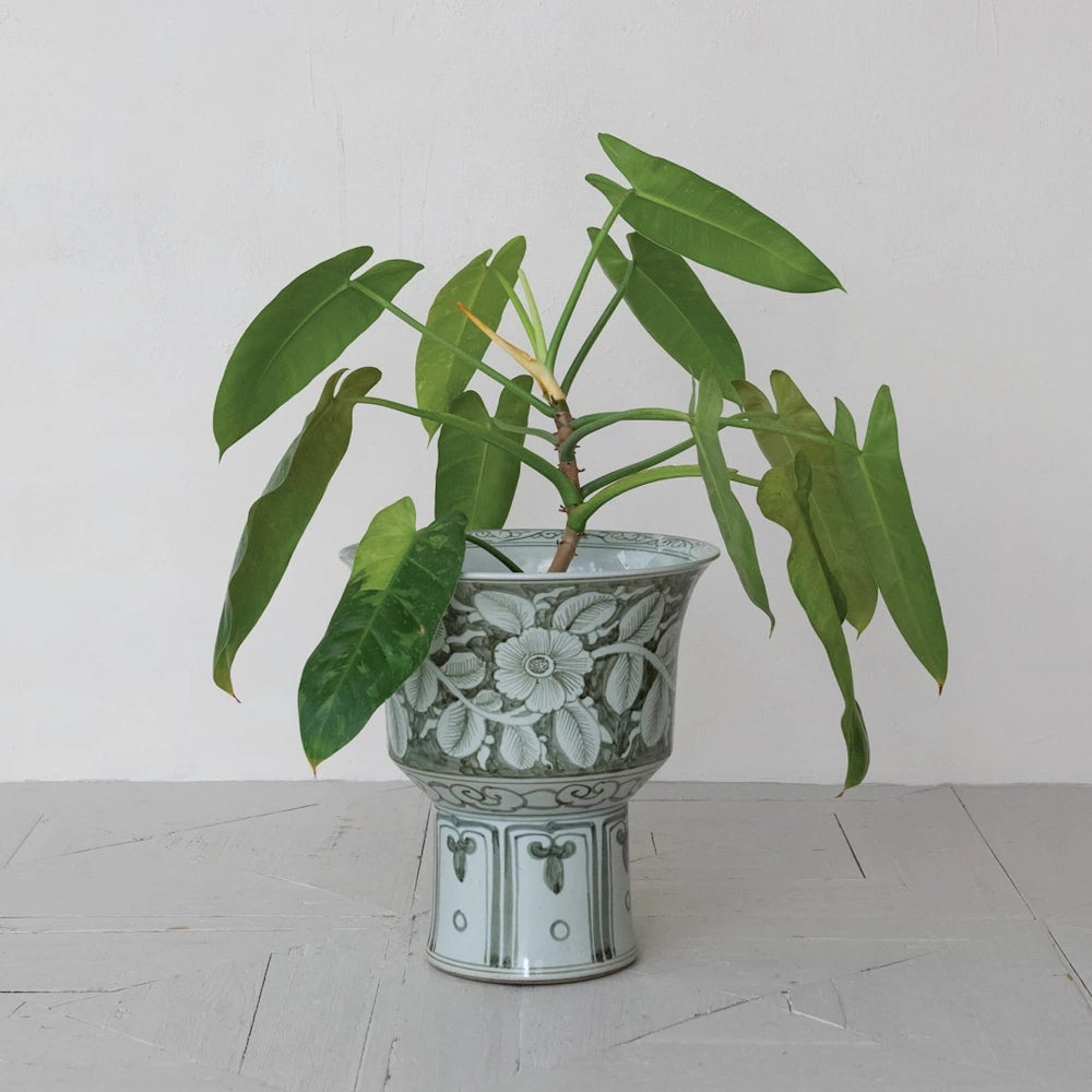 Footed stoneware planter with sage green floral design holding a leafy tropical plant against a white wall.