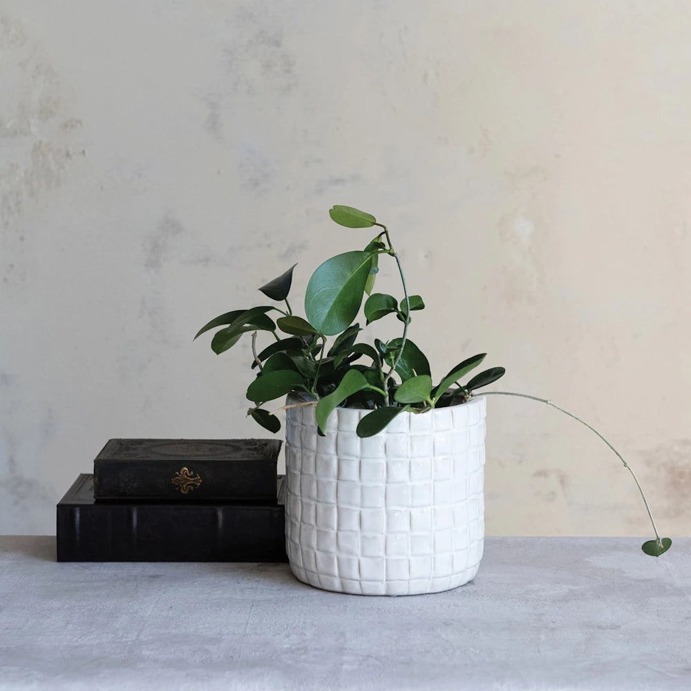 White grid pattern ceramic planter with green trailing houseplant and decorative old books.