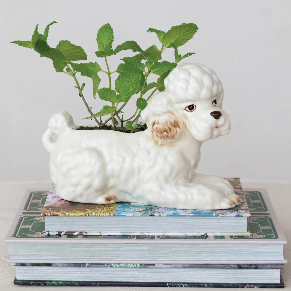 White ceramic poodle planter with green mint plant sitting on a stack of decorative books.