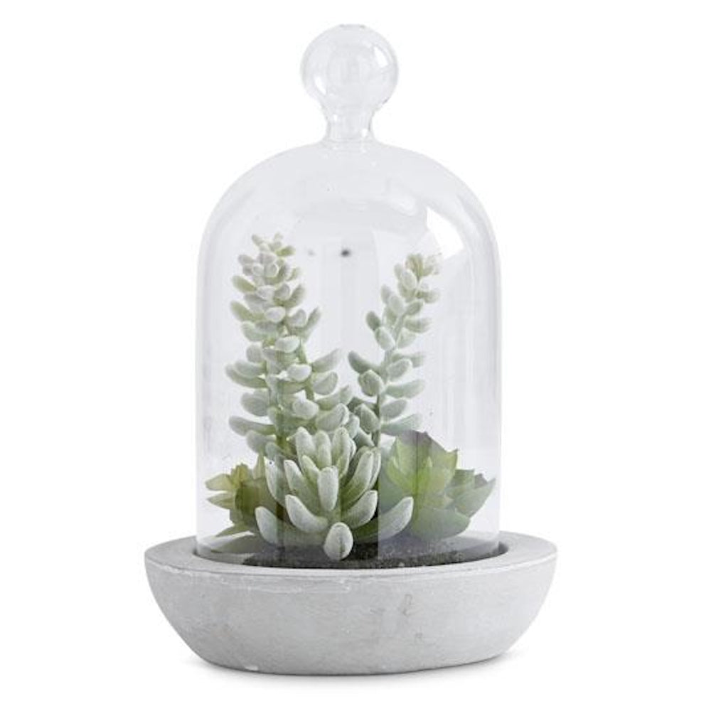 Artificial succulent arrangement in a glass cloche with a gray cement base on a white background.
