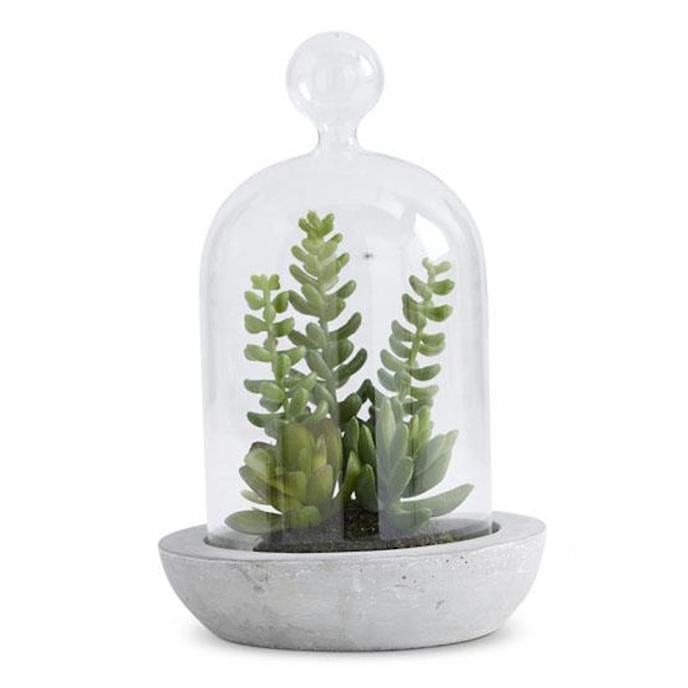 Faux succulent plants in a clear glass cloche with a decorative cement base on a white background.