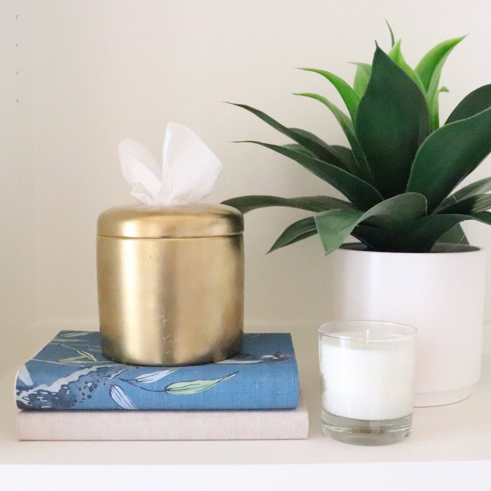 Gold tissue canister on blue and cream books next to a white potted plant and a small candle on a white shelf.