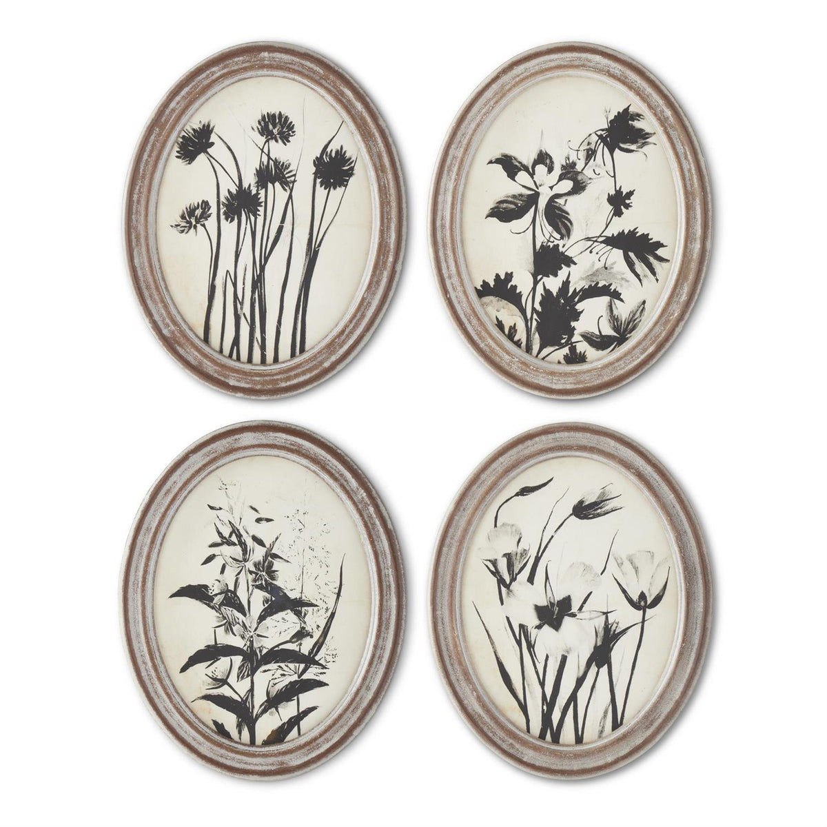 Wood Framed Oval Black & White Botanical Print — alternate view 6