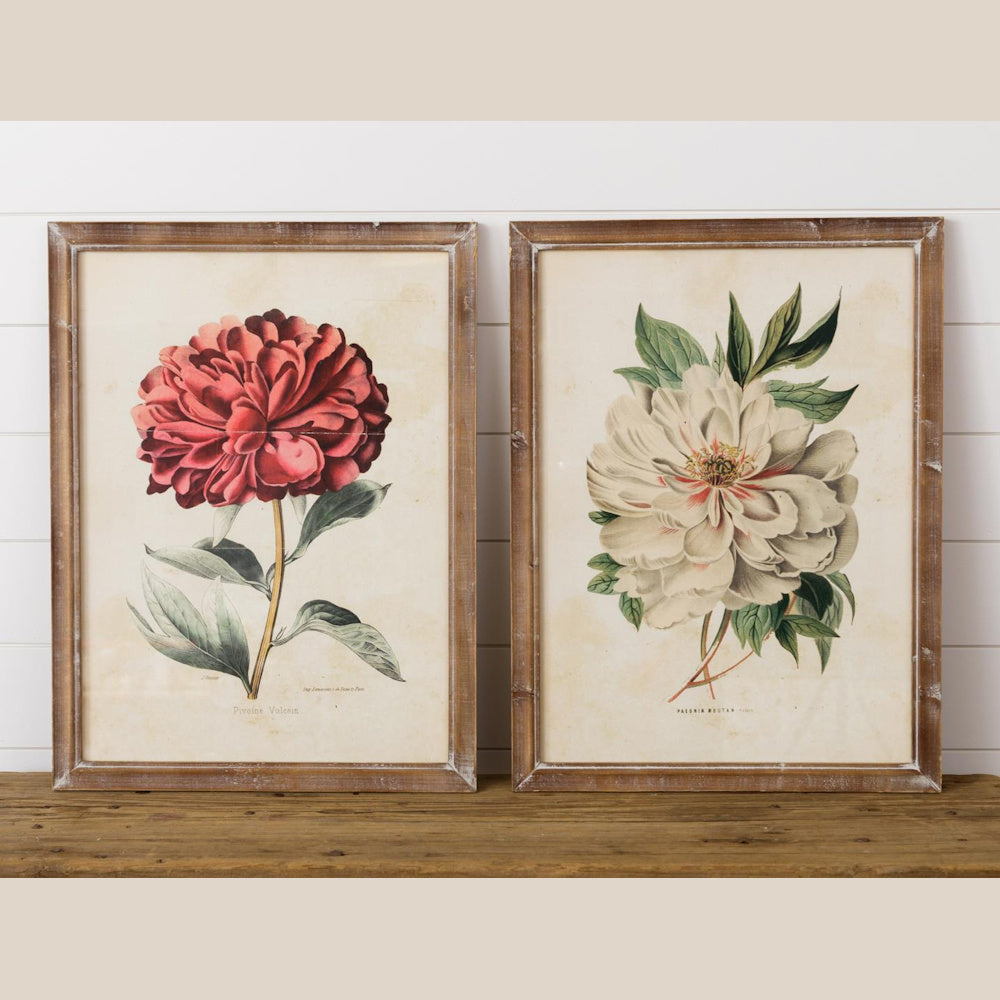 Pair of vintage-style botanical peony framed prints in red and white on a rustic wood shelf against white shiplap walls.