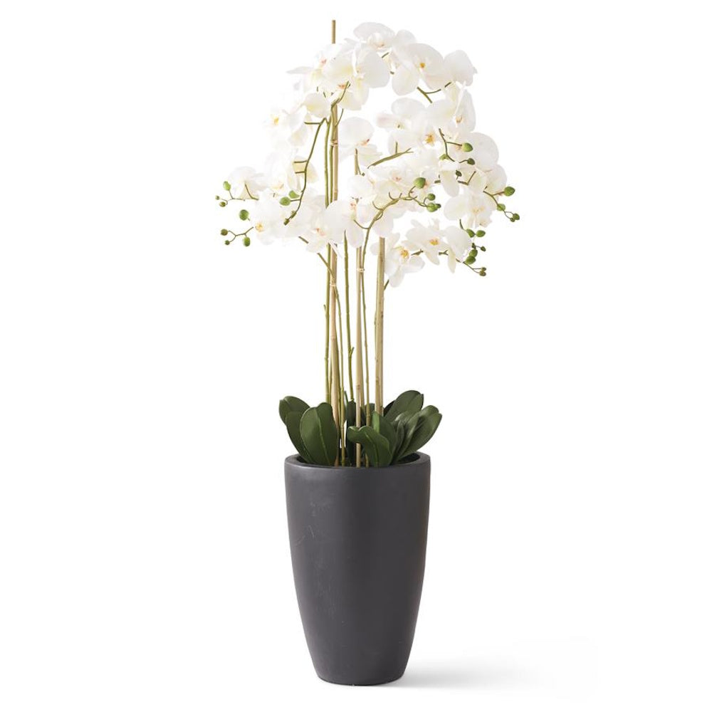 Potted artificial white Phalaenopsis orchid in a tall matte black planter.