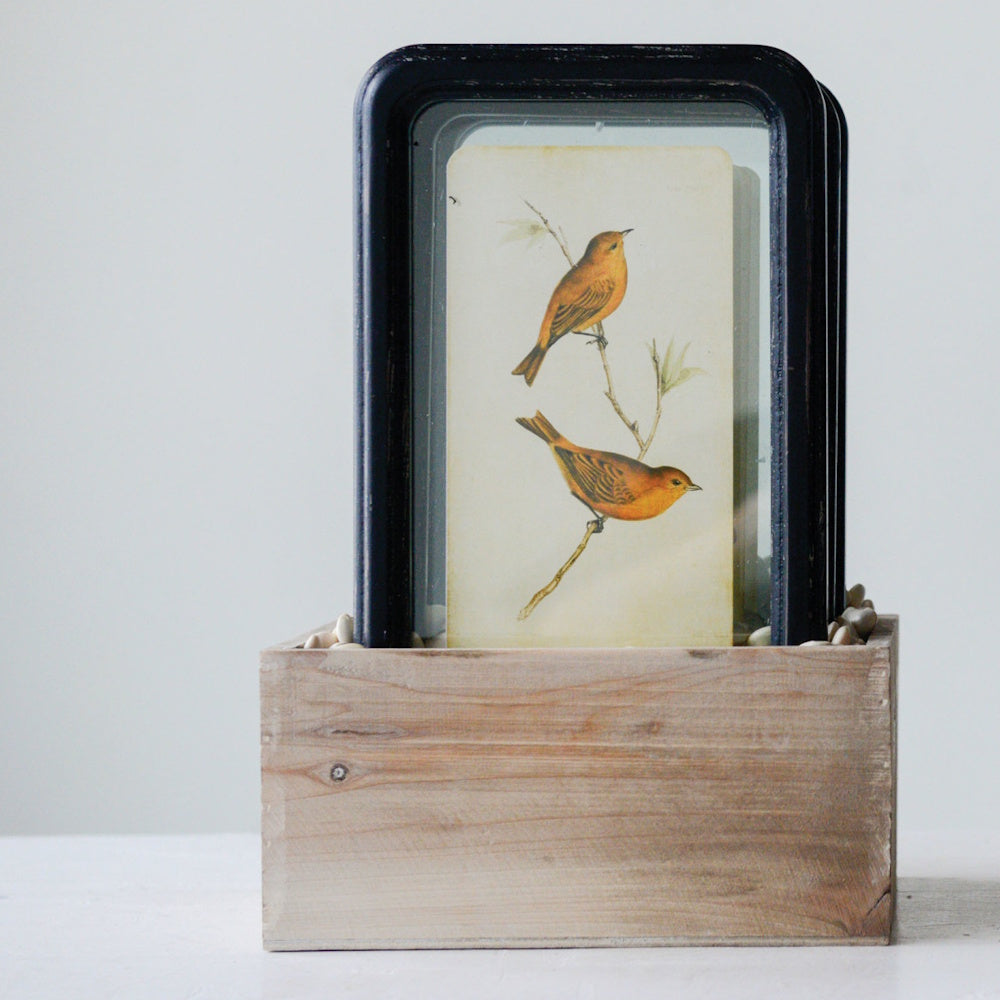 Stacked wood-framed glass bird art pieces displayed upright in a rustic wooden holder.