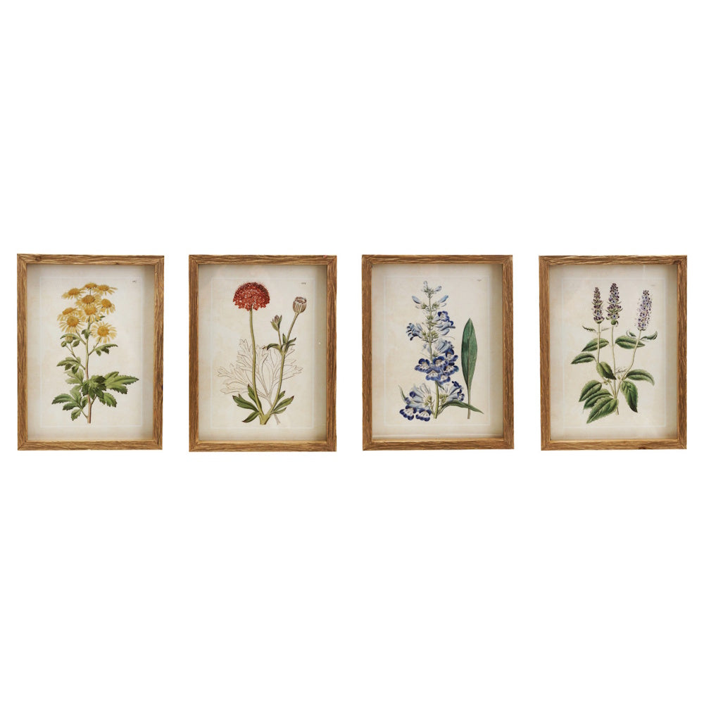Set of four vintage botanical flower prints in natural wood frames with glass.