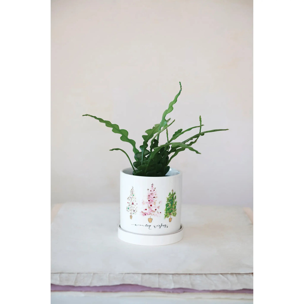 Tree Stoneware Planter with Saucer