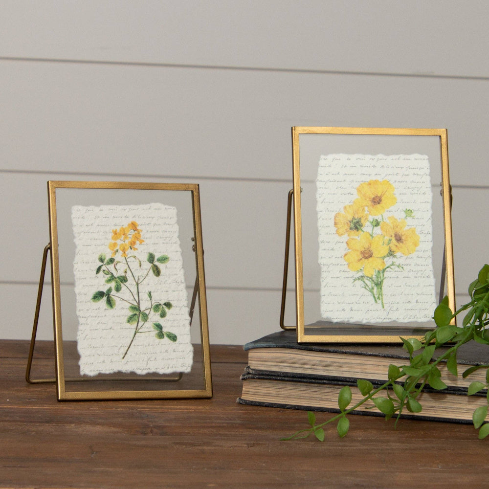 Two gold floating frames with yellow floral botanical prints on script paper, styled on a wooden table with books.