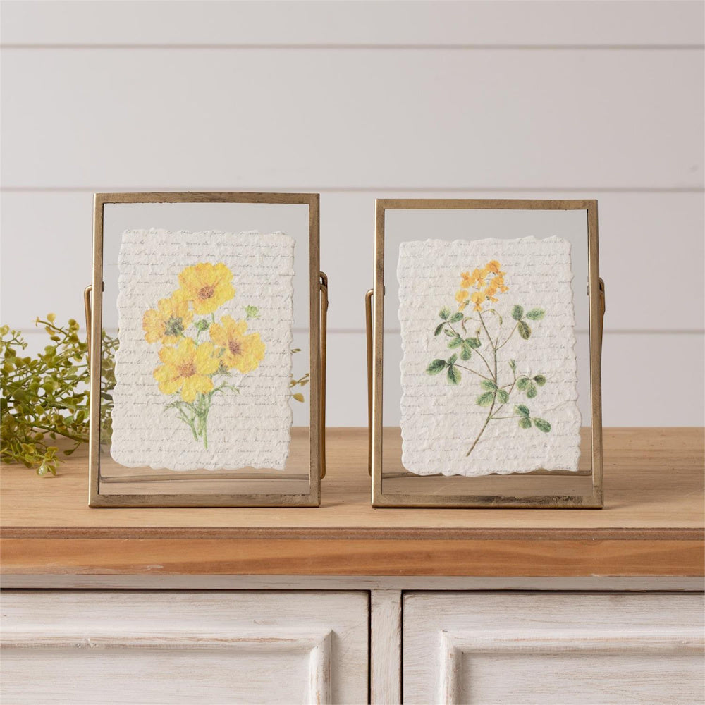 Two gold metal floating frames with yellow floral botanical prints on deckled edge paper, displayed on a wooden surface.